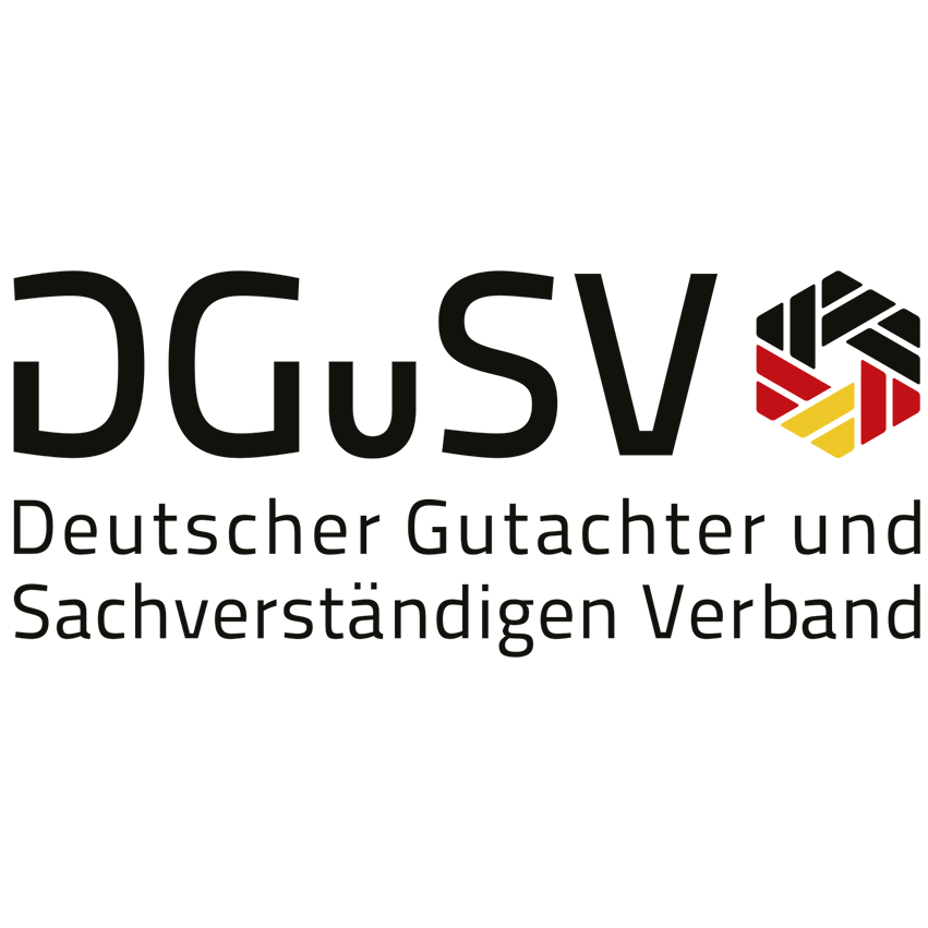 Logo DGuSV_mS